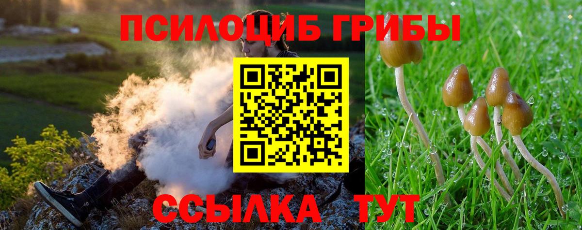 Кокаин Кольчугино