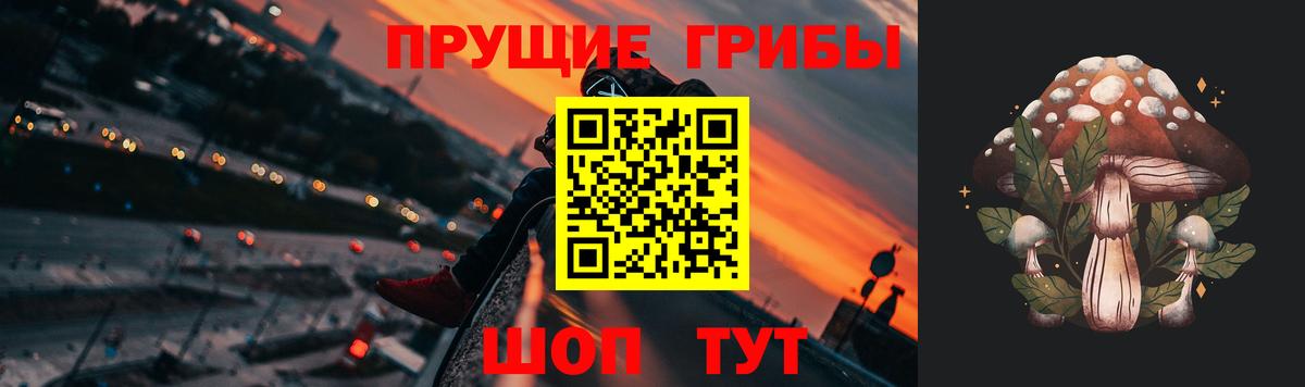 Псилоцибиновые грибы прущие грибы  Псилоцибиновые грибы мицелий  Кольчугино  Вход с VPN 